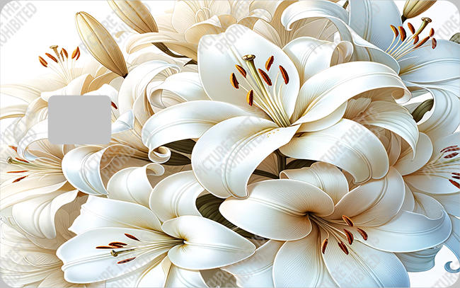 Bank  Card Sticker-BC-401